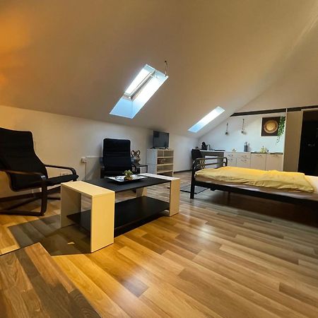 Savoya Nr3 Studio Old City Center Self Check-In Тимишоара Екстериор снимка