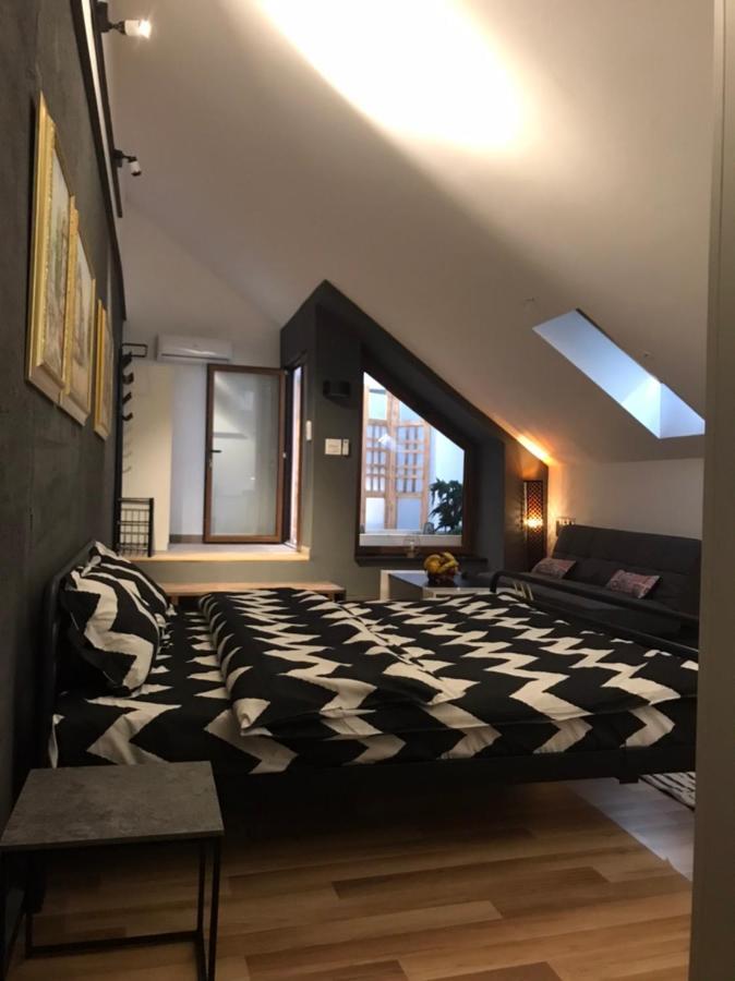 Savoya Nr3 Studio Old City Center Self Check-In Тимишоара Екстериор снимка
