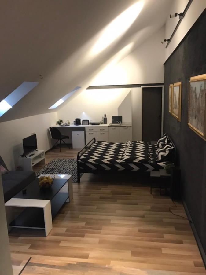 Savoya Nr3 Studio Old City Center Self Check-In Тимишоара Екстериор снимка
