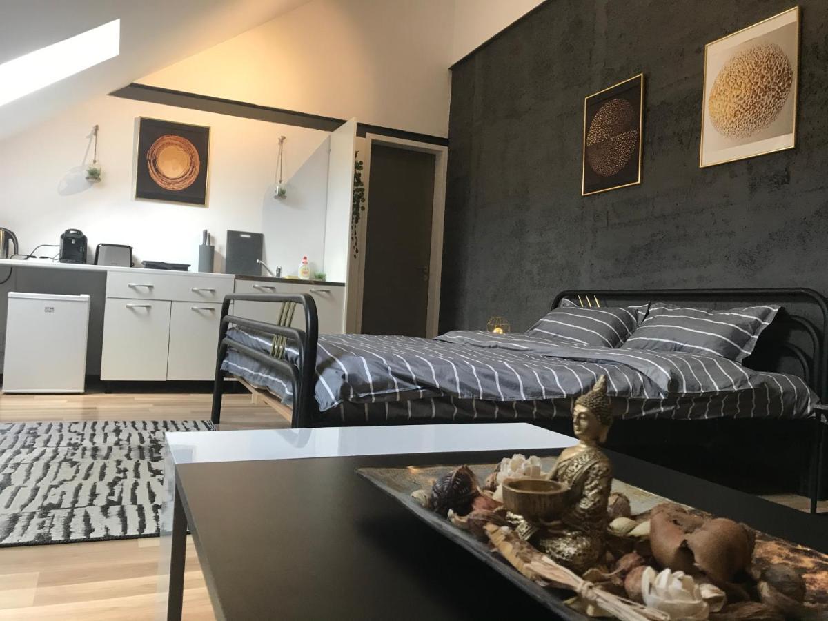 Savoya Nr3 Studio Old City Center Self Check-In Тимишоара Екстериор снимка